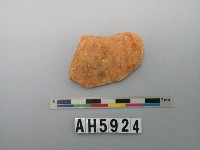 藏品(紅色夾砂陶片)的圖片